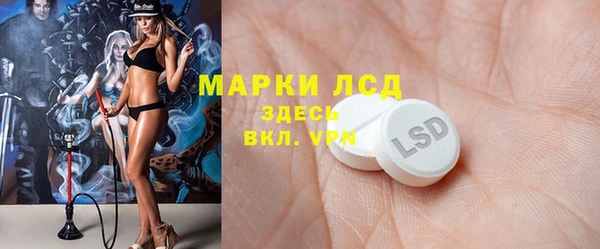 прущий лед Алзамай