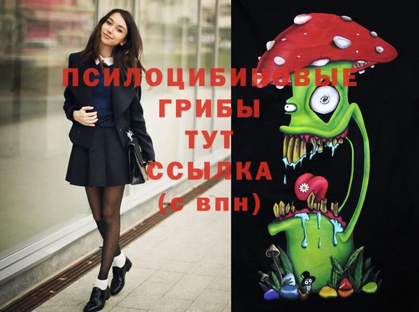 прущий лед Алзамай