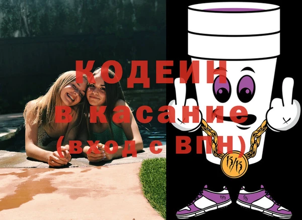 прущий лед Алзамай