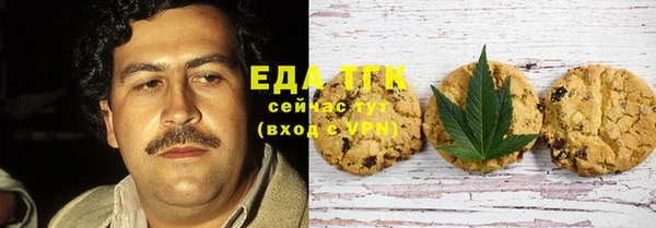 прущий лед Алзамай